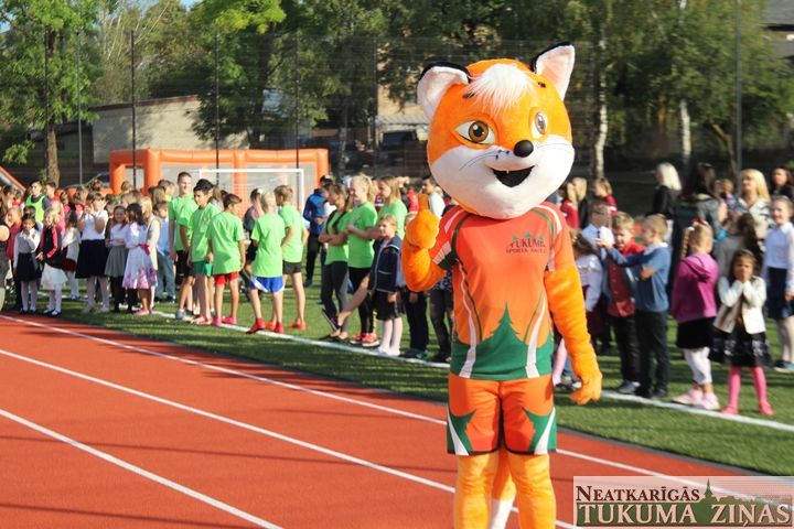 Gallery image 164015