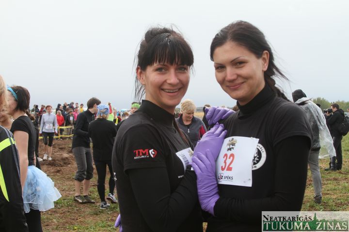 Gallery image 179294