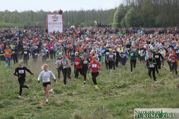 Gallery image 179296