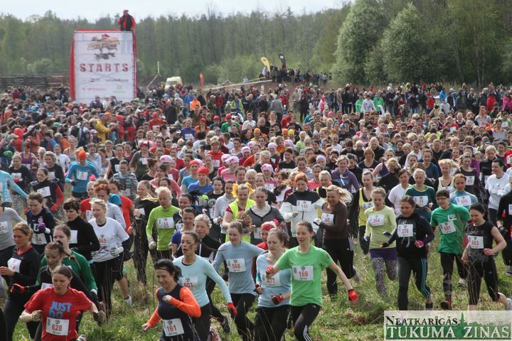 Gallery image 179297