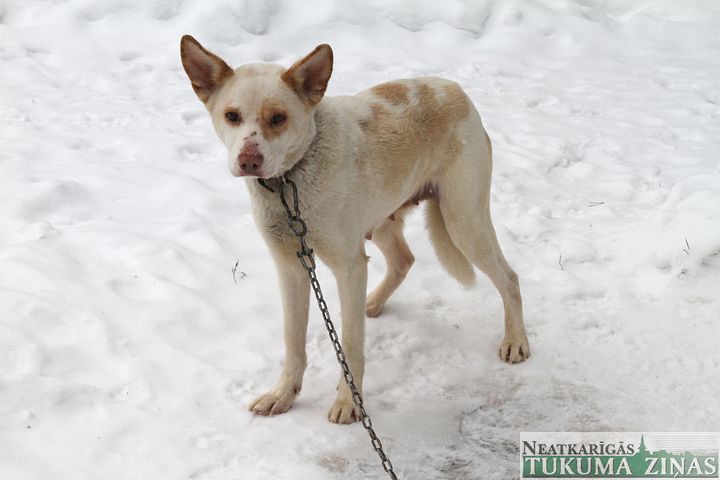 Gallery image 182352