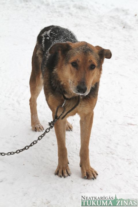 Gallery image 182353