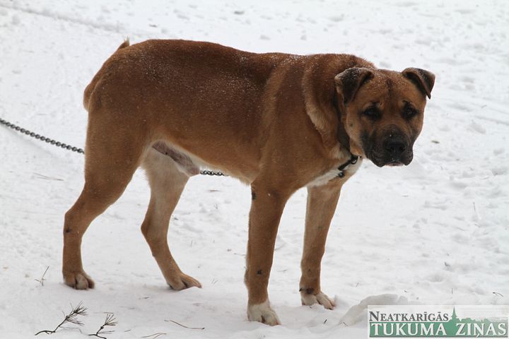 Gallery image 182351