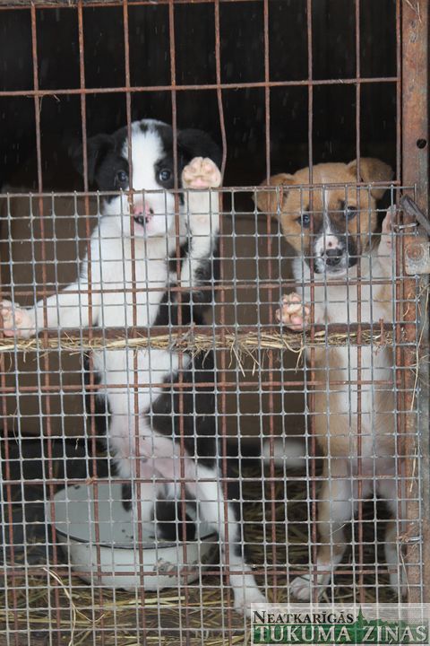 Gallery image 182356