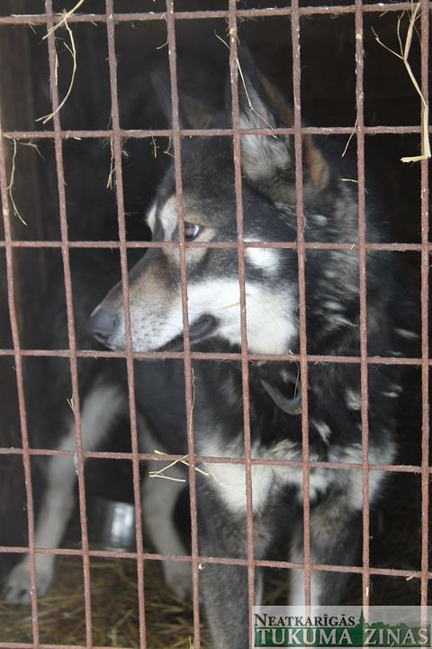 Gallery image 182355