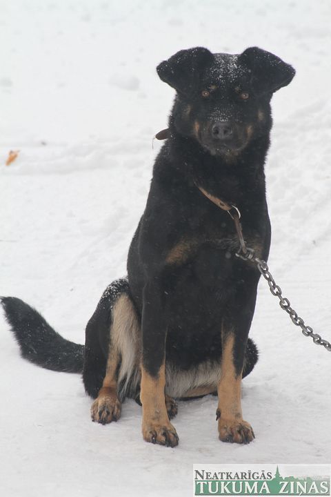 Gallery image 182354