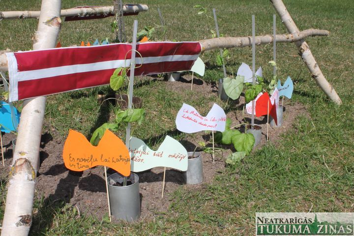 Gallery image 172889