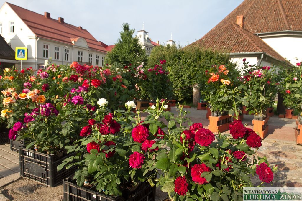 Gallery image 164819