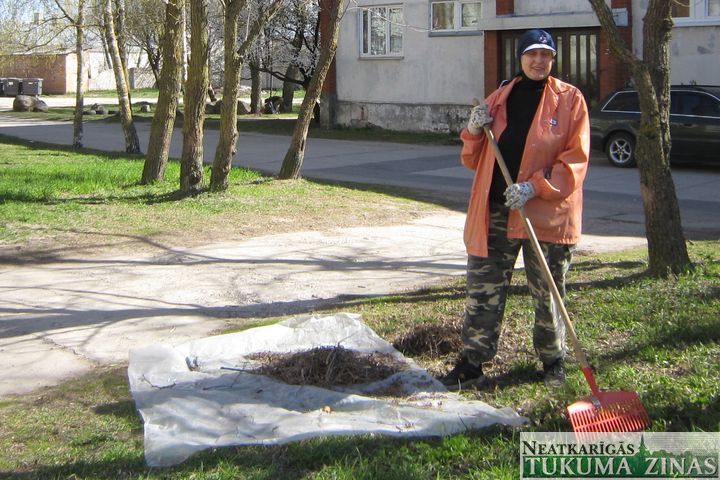 Gallery image 179400