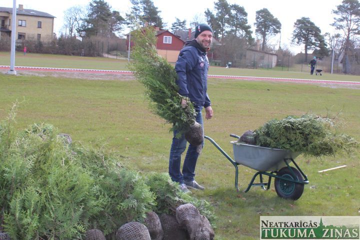 Gallery image 168284