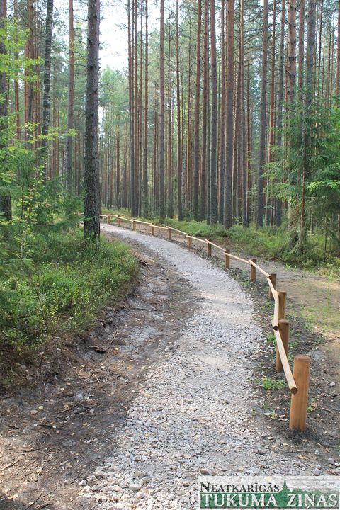 Gallery image 181220