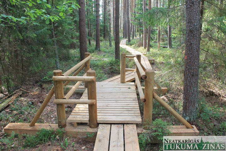 Gallery image 181219