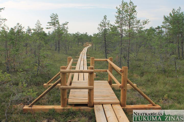 Gallery image 181221