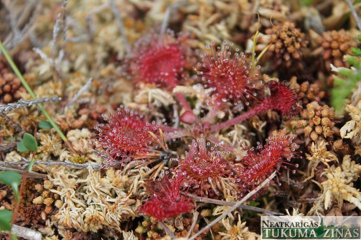 Gallery image 181217