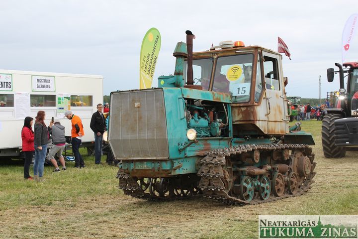 Gallery image 167639