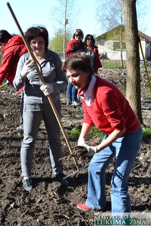 Gallery image 179450