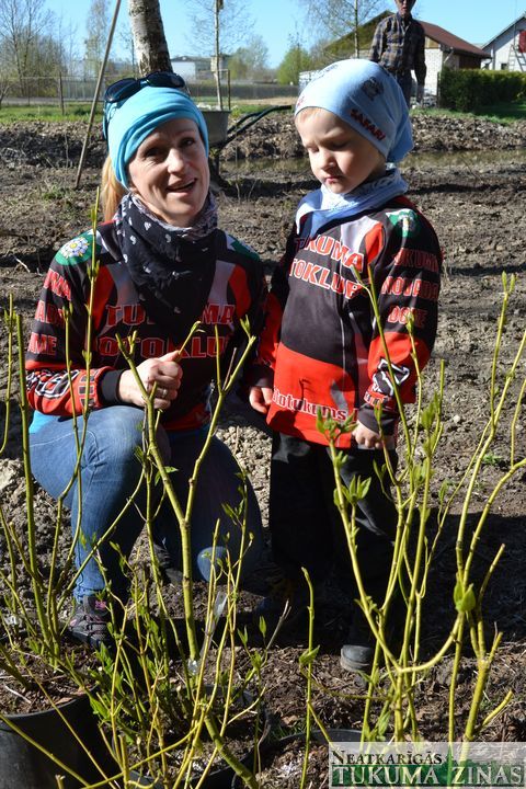 Gallery image 179454