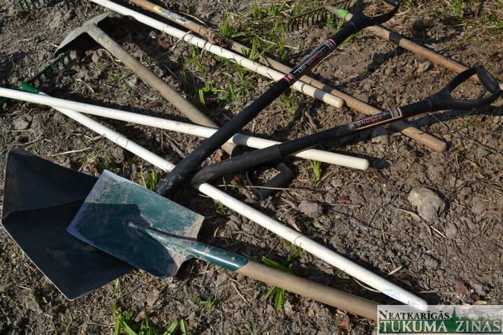 Gallery image 179455