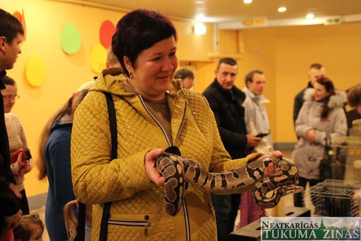 Gallery image 173586