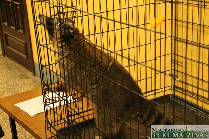 Gallery image 173588