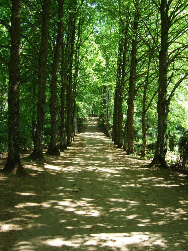 Vai varētu būt jaunas apbedījumu vietas?