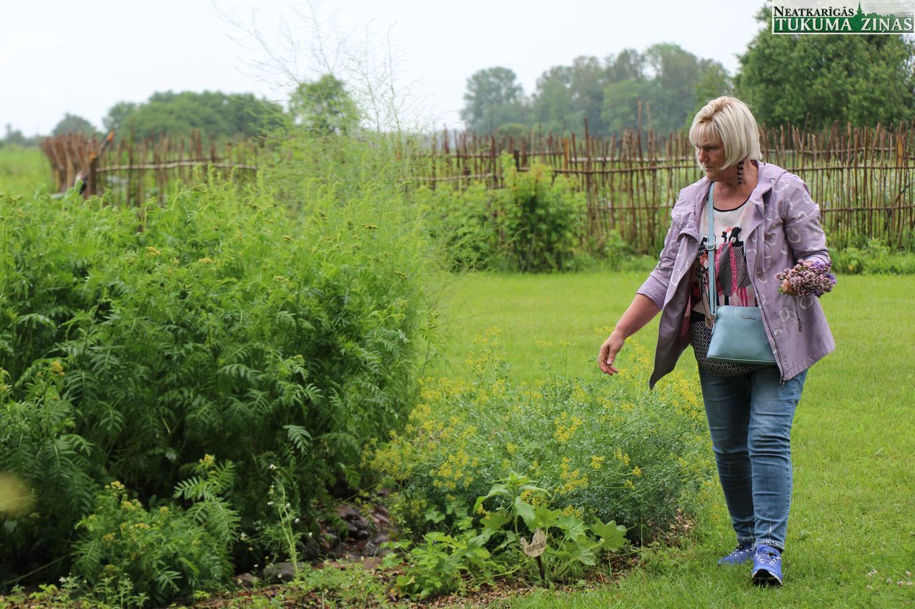 Gallery image 158919