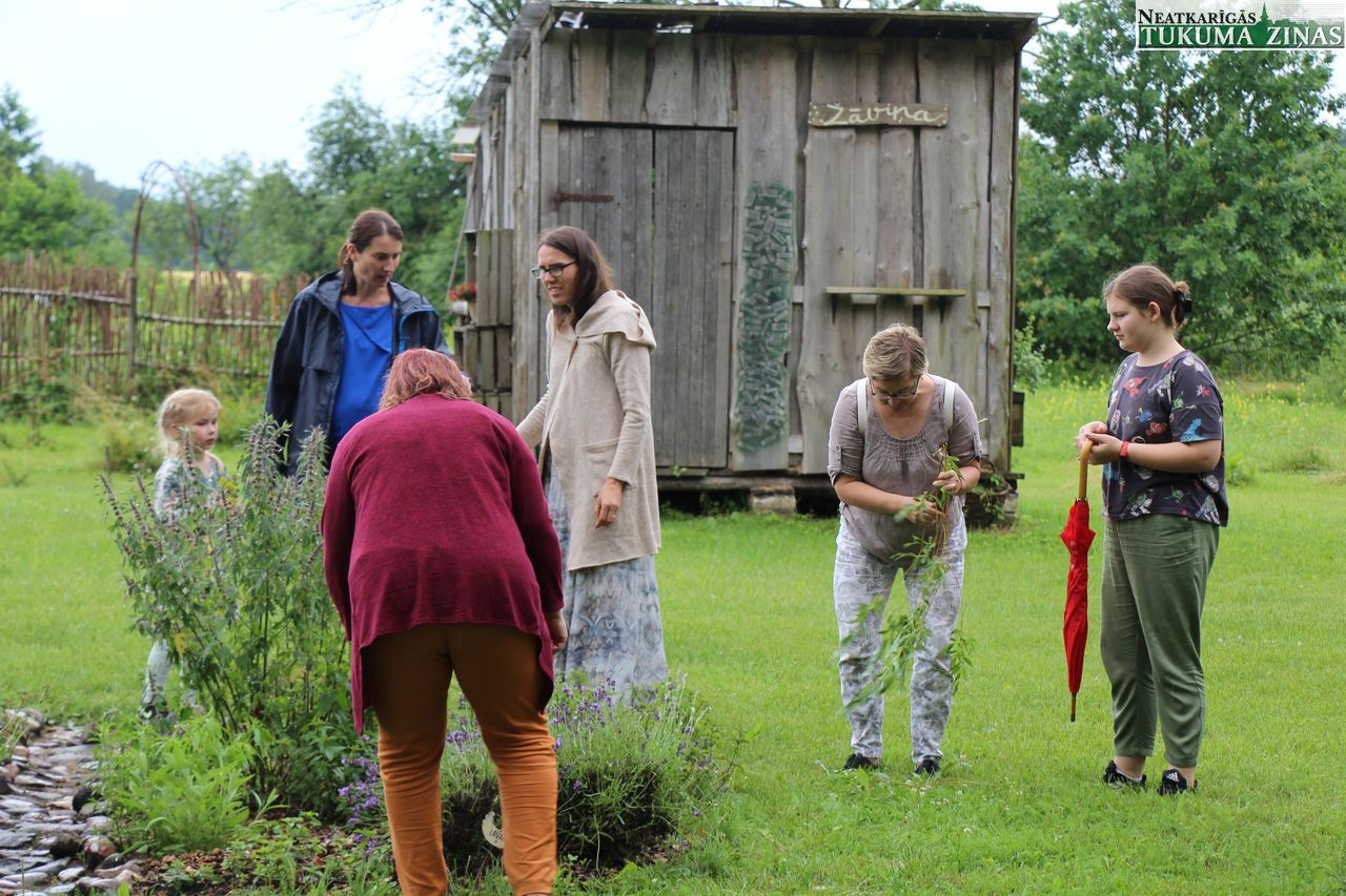 Gallery image 158923