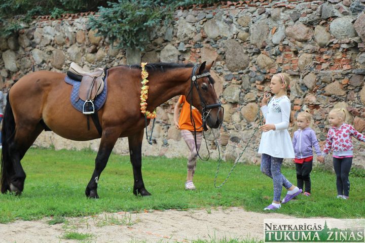 Gallery image 161684