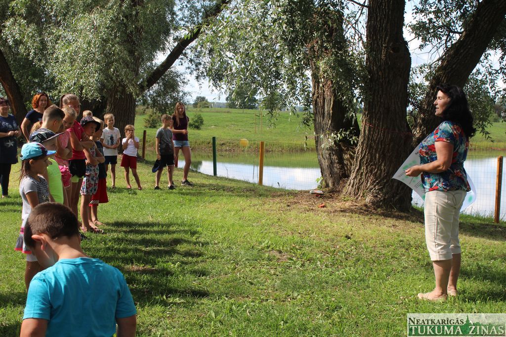 Gallery image 164285