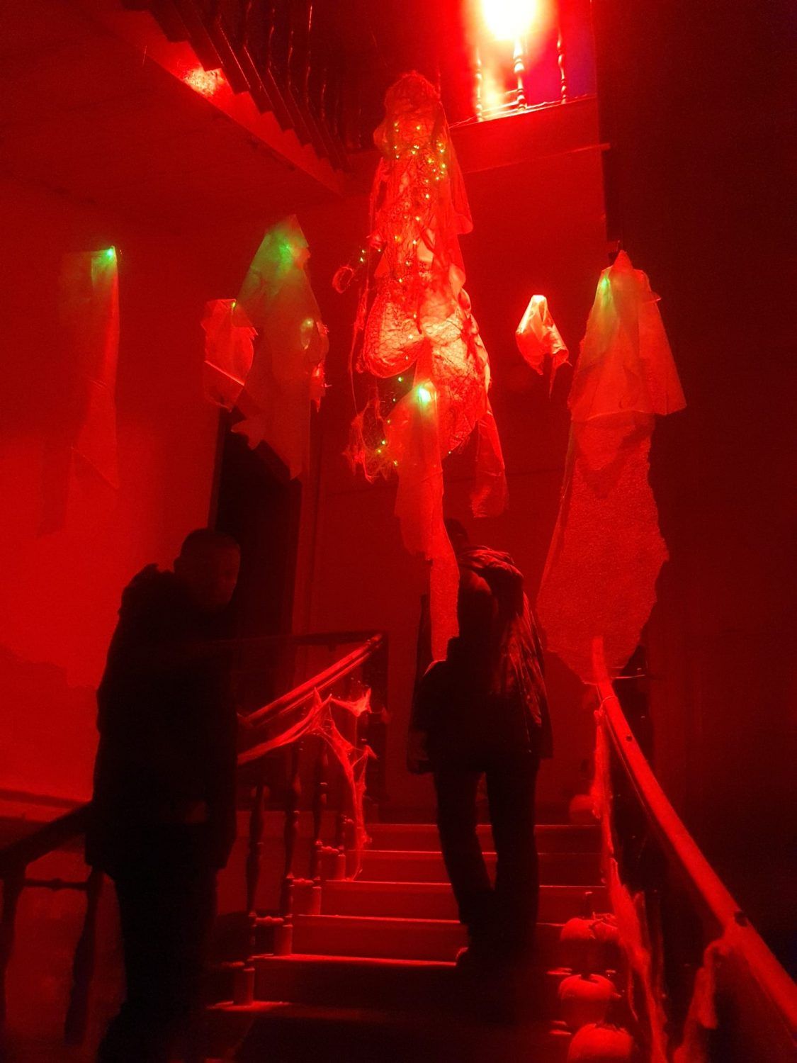 Gallery image 154519