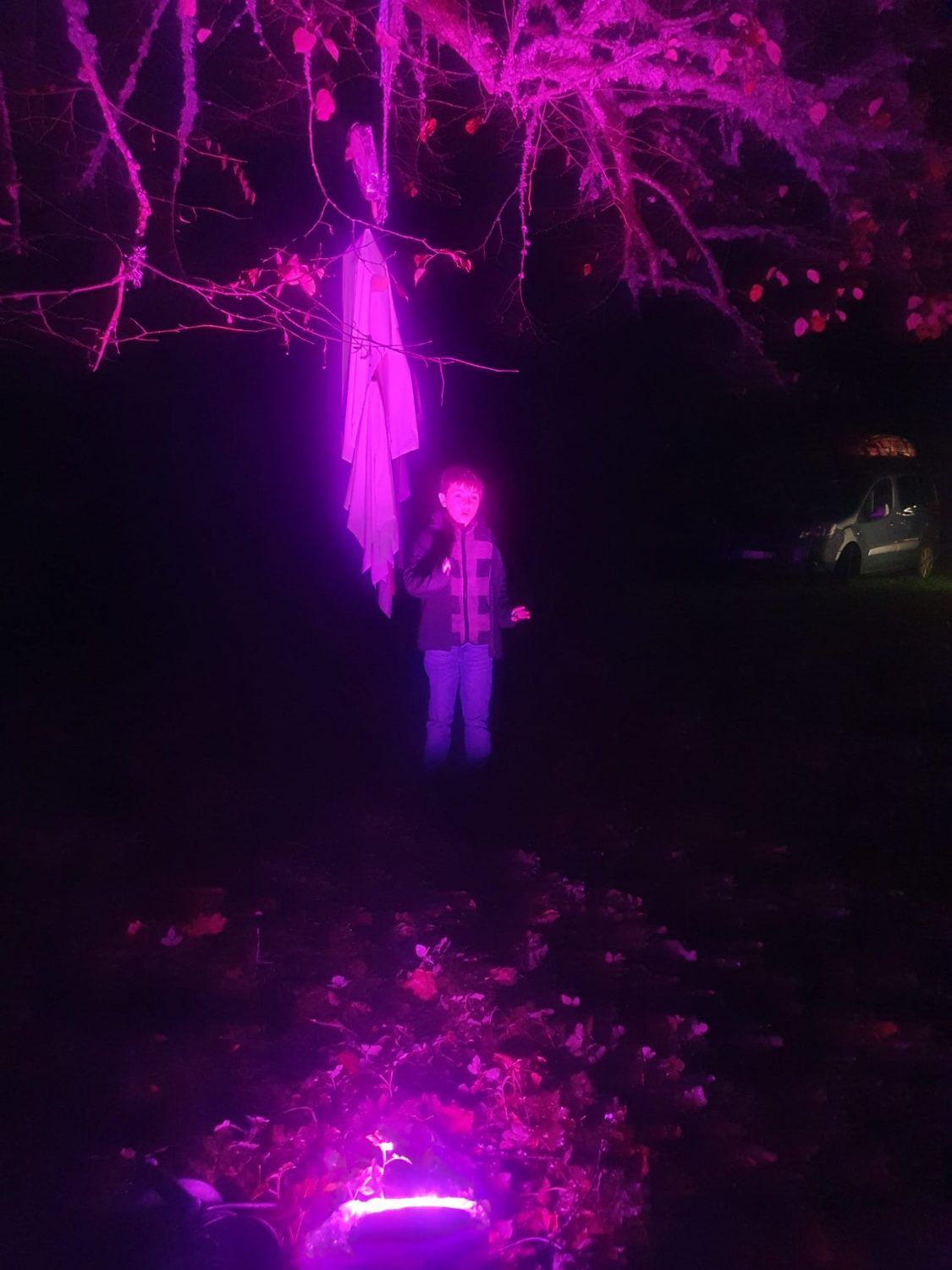 Gallery image 154520