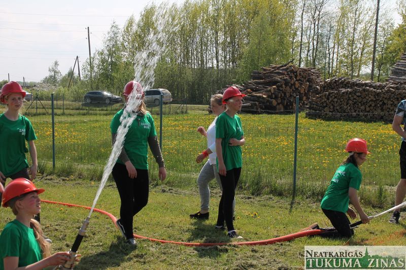 Gallery image 162746