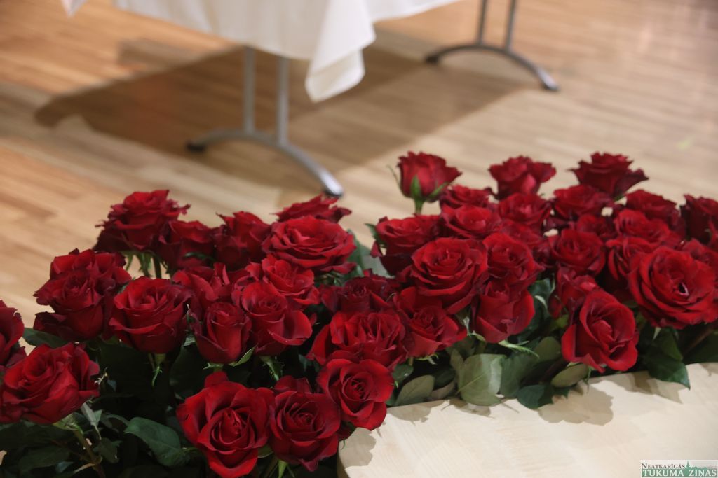 Gallery image 260055