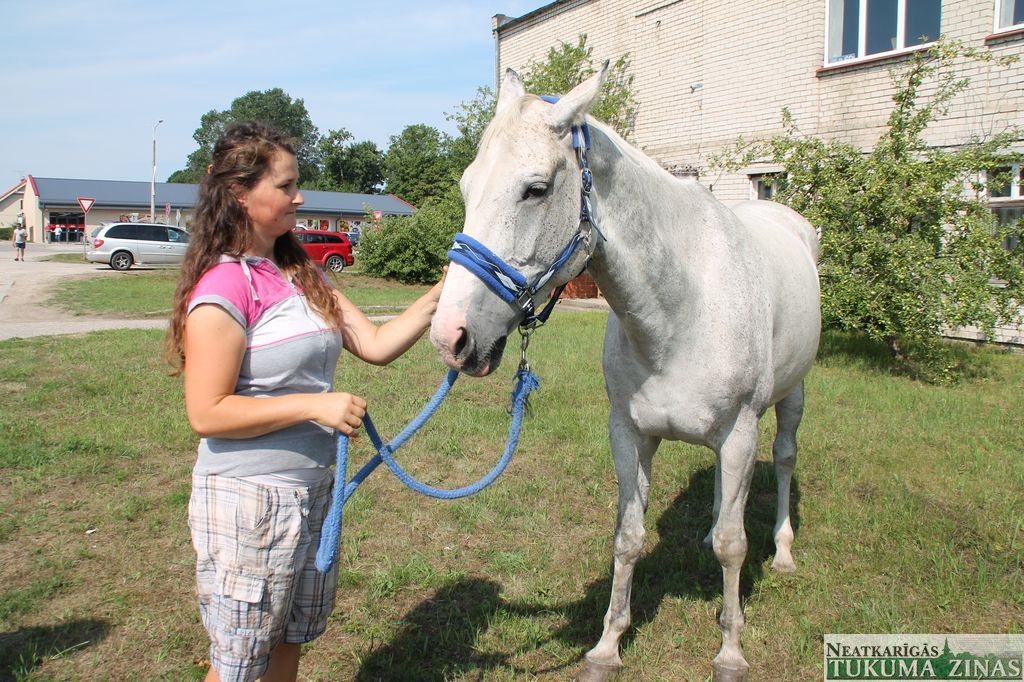 Gallery image 164696