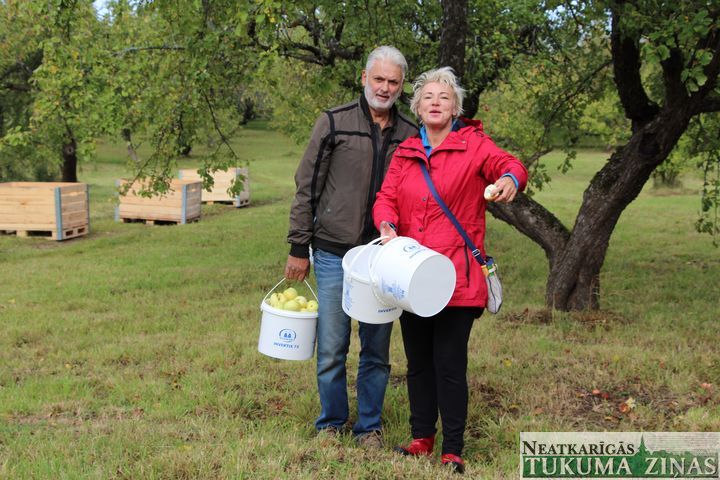 Gallery image 161375