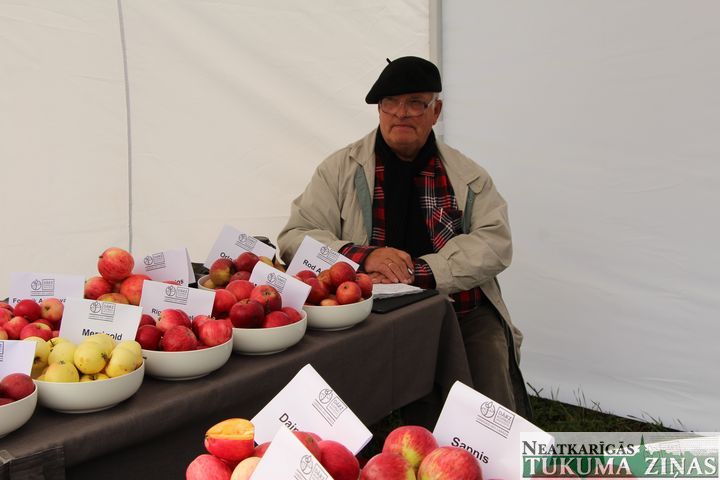 Gallery image 161374