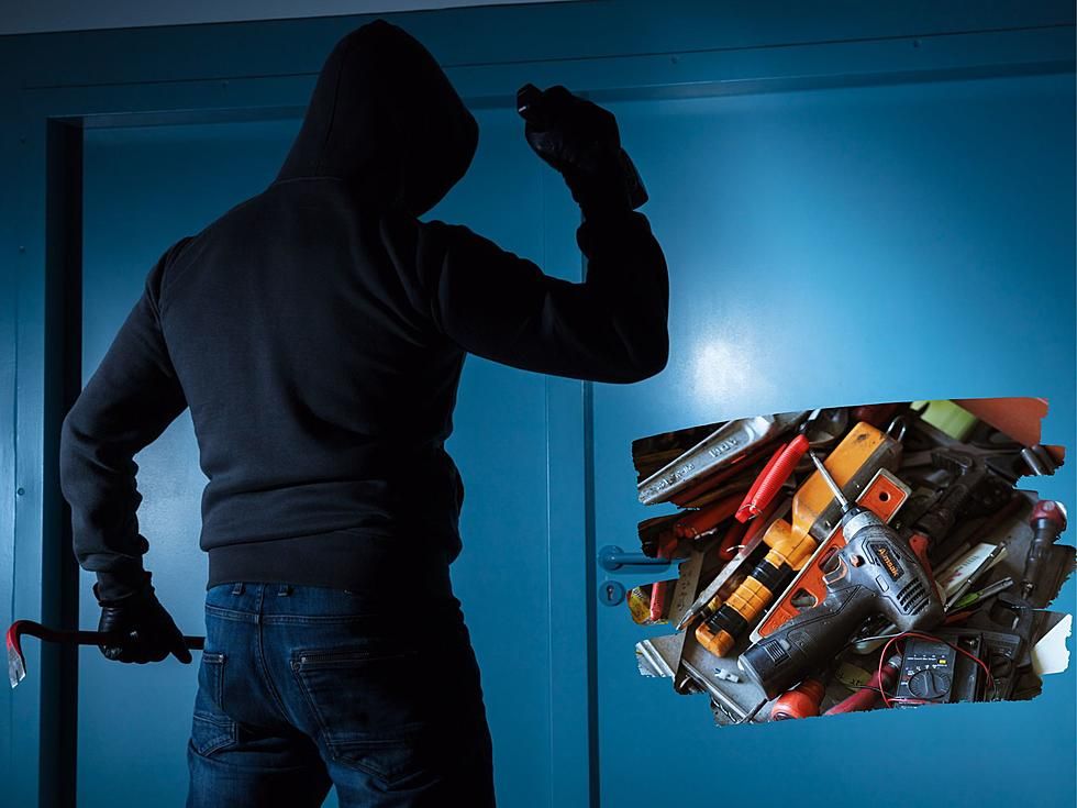 Tukuma novadā aizturēts rūdīts garnadzis, kurš guvumus ņēmis uzlauztās mantu glabātavās