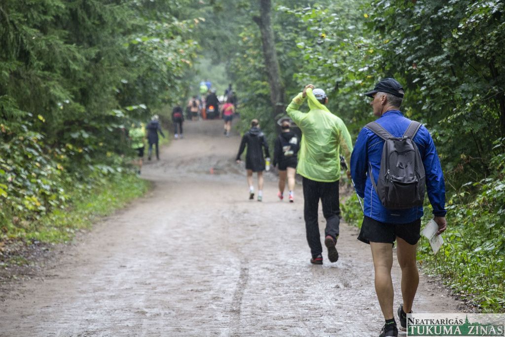 Gallery image 154784