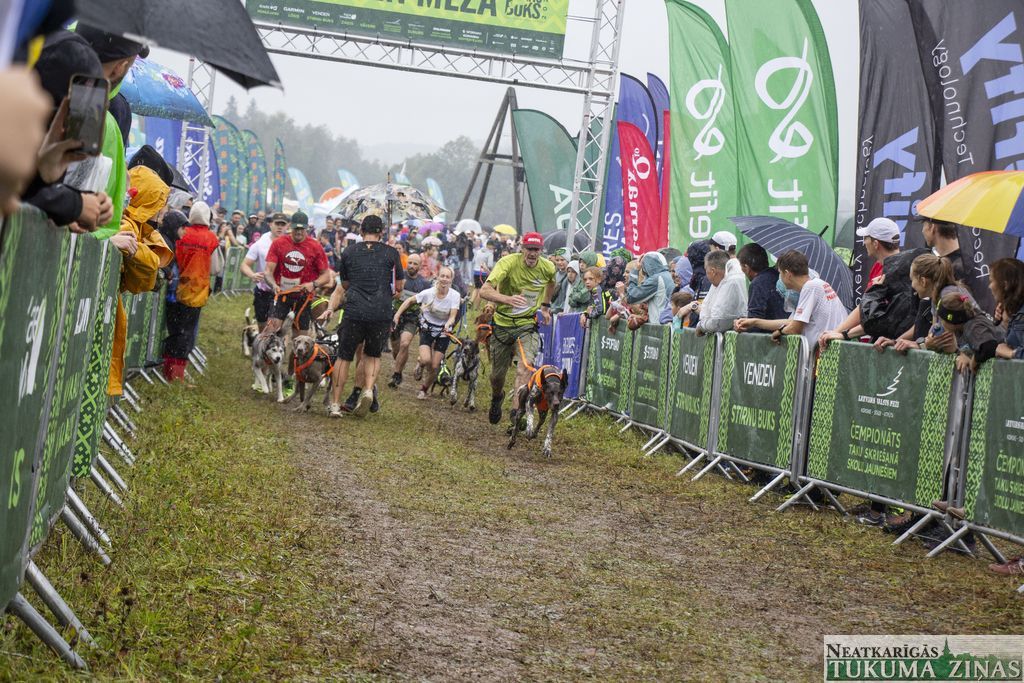 Gallery image 154787