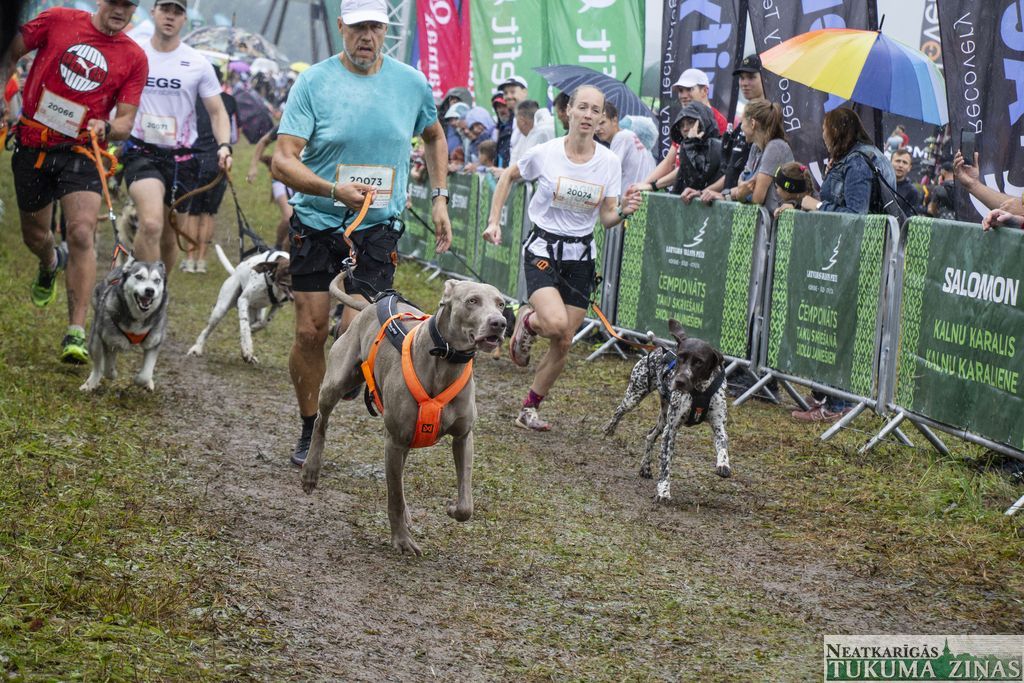 Ieskrienot «Stirnu bukā»...