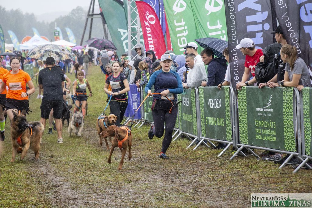 Gallery image 154786