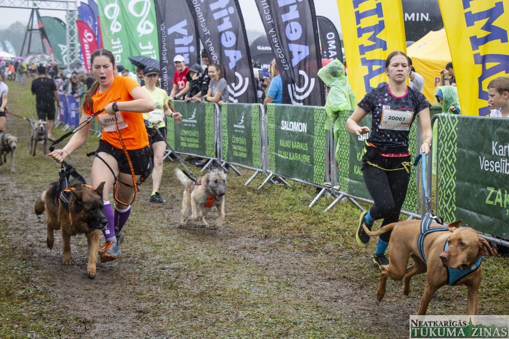 Gallery image 154785