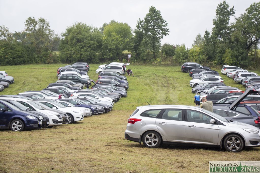 Gallery image 154782