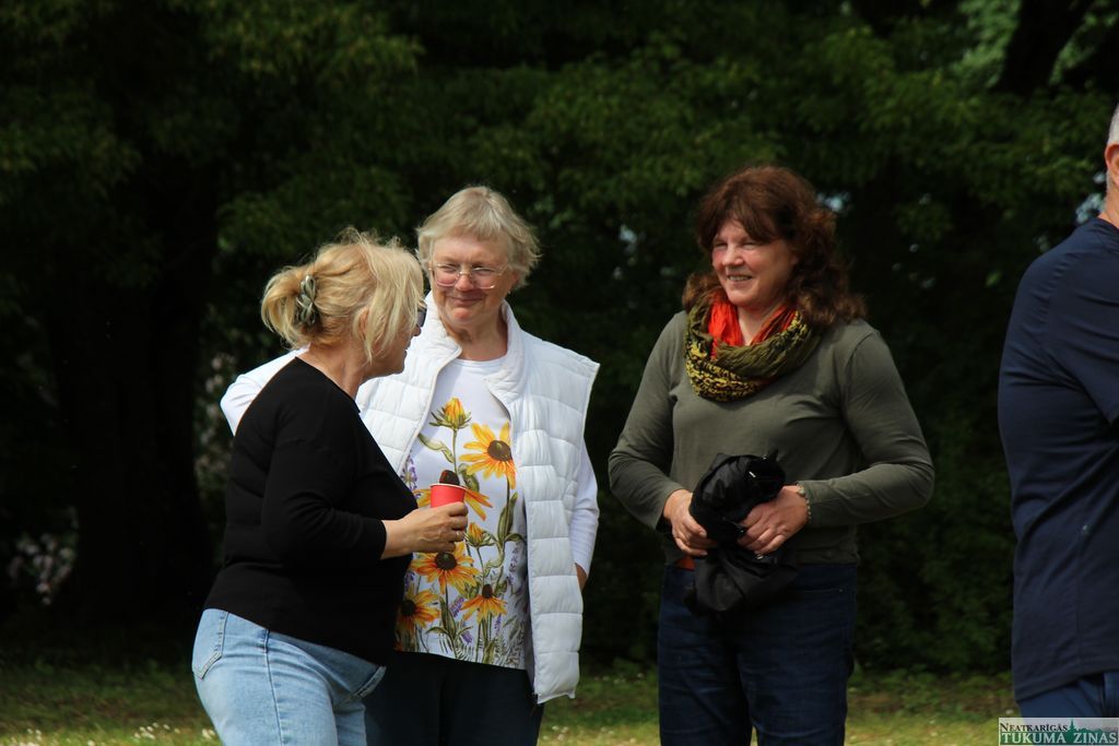 Gallery image 263416