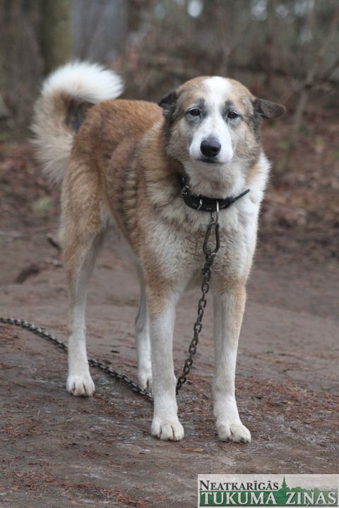 Gallery image 182216