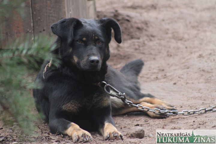 Gallery image 182217