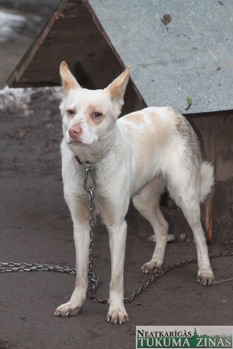 Gallery image 182218