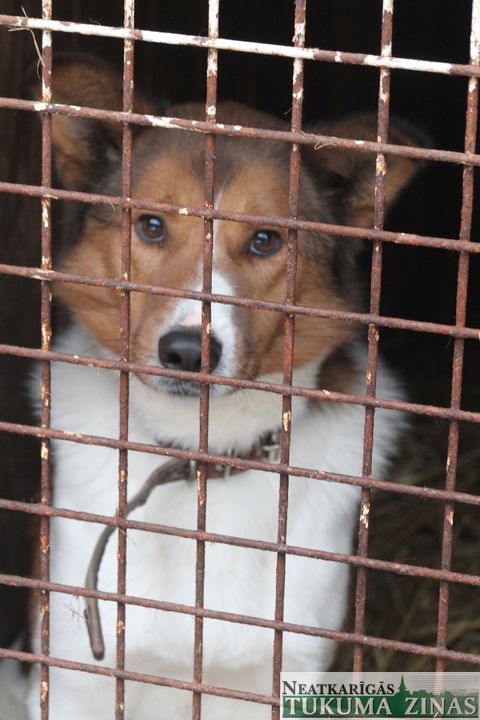 Gallery image 182220