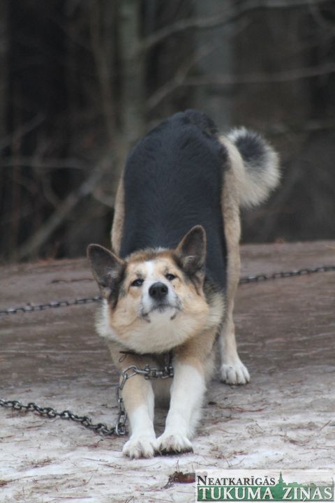 Gallery image 182219