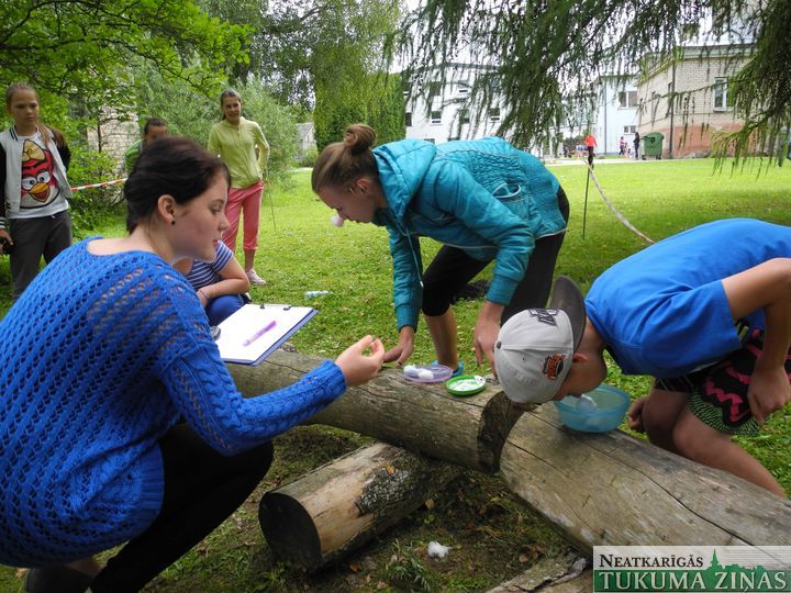 Gallery image 178303